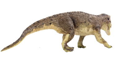 dinossauro postosuchus em fundo isolado. png