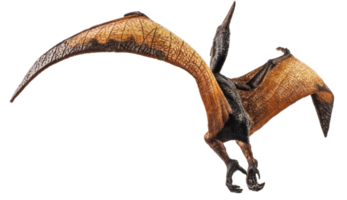 Pteranodon Pterodaktylus Dinosaurier auf weißem Hintergrund png