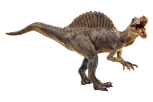 Spinosaurus , dinosaur on white background . png