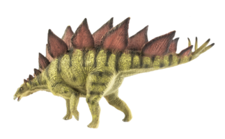 Stegosaurus , dinosaur on white background . png