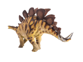 Stegosaurus , dinosaur on white background . png