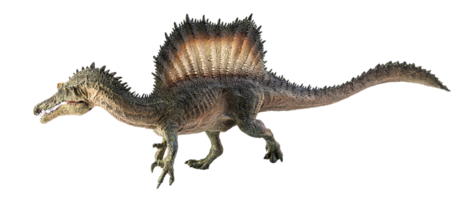 spinosauro, dinosauro su sfondo bianco. png