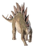 Stegosaurus Dinosaur on white background png