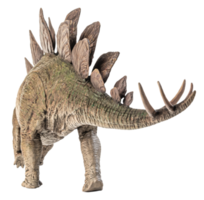 Stegosaurus-Dinosaurier auf weißem Hintergrund png