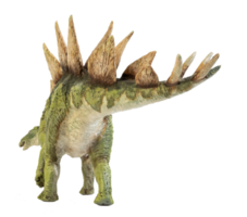 dinosauro stegosauro su sfondo isolato. png