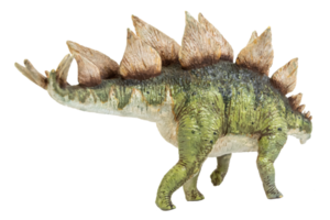 dinosaurio estegosaurio sobre fondo aislado. png