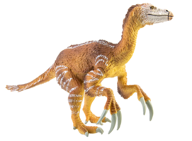 Amargasaurus ,dinosaur on white background png