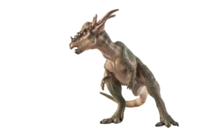 dinossauro stygimoloch em fundo branco png