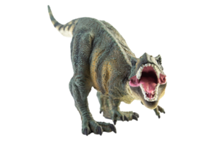 tiranosaurio t-rex, dinosaurio sobre fondo blanco png