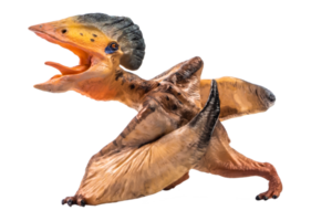 tupuxuara pterodactyl dinosaurie på vit bakgrund png