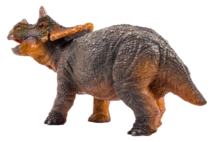 triceratops, dinosaurio sobre fondo blanco. trazado de recorte png