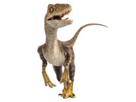 dinosaurio, velociraptor sobre fondo blanco. png