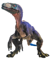 dinosaur , Velociraptor on white background . png