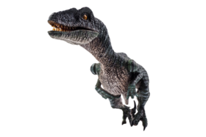 Dinosaurier, Velociraptor auf weißem Hintergrund. png