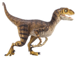 dinosaure, vélociraptor sur fond blanc. png