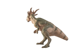 stygimoloch dinosaurie på vit bakgrund png