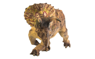 triceratops, dinosaurus op witte achtergrond. uitknippad png