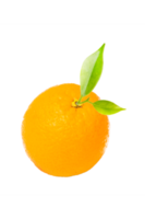 fruit orange sur fond blanc png