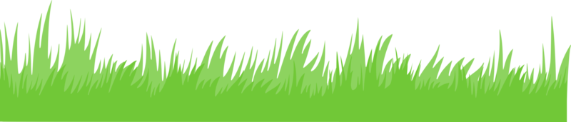 fond de bannière d'herbe verte, dessin animé herbe png gratuit