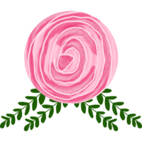 aquarela de flor rosa png
