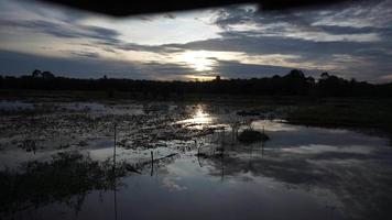 Blick auf den Sonnenuntergang über den Reisfeldern in der Abenddämmerung video