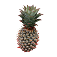 pineapple fruit photograph transparent realistic illustration clipart png art