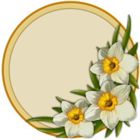 Bright daffodils, round frame with empty space, copy space png