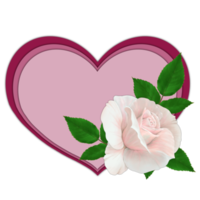 Pink heart with white rose, postcard card on transparent background png