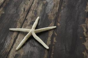 una estrella de mar en el fondo de madera foto