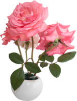 fleurs roses roses dans un fond de transparence de vase. objet floral. png