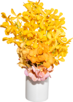 Pink-yellow Orchid flower in vase transparency background.Floral object. png