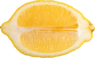 halv citron frukt skivad på genomskinlighet background.fruit object.top view png