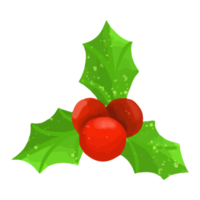 Aquarell Weihnachtsblume, handgemalte Dekoration png