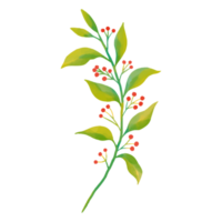 akvarell blad och blomma, gröna blad clipart png