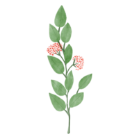 akvarell blad och blomma, gröna blad clipart png