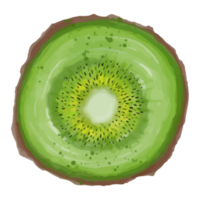 Watercolor sliced kiwi, Hand painted fruit clipart png