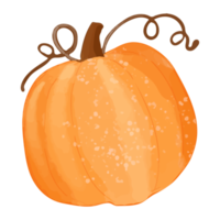 akvarell pumpa, handmålad dekoration clipart png