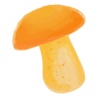 Watercolor Mushroom, Hand painted decoration clipart png