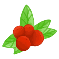 aquarel cranberry, handgeschilderde decoratie clipart png