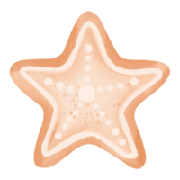 estrella de acuarela, clipart de decoración de navidad pintado a mano png