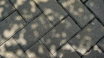 Cement block pathway or paving blocks photo