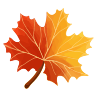 feuilles d'automne aquarelle, clipart de décoration peinte à la main png