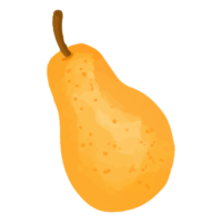 poire aquarelle, clipart de décoration peinte à la main png