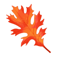 feuilles d'automne aquarelle, clipart de décoration peinte à la main png