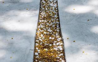 Concrete block of the pathway. photo