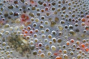 Hot water drops condensating at a glass pot cover during cooking. photo