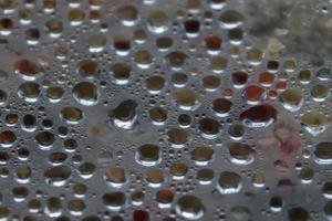 gotas de agua caliente que se condensan en una tapa de olla de vidrio durante la cocción. foto