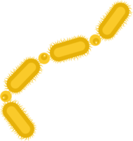 Microscopic microorganism clip art