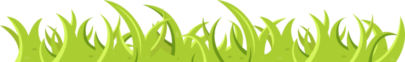 herbe verte et feuilles en style cartoon png