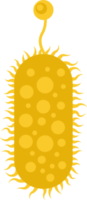 illustraties van microscopisch micro-organisme png